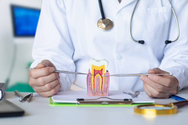 Best Broken Tooth Emergency  in Montgomery, WV